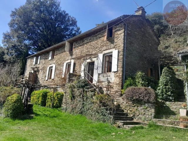 Mas familial du XVIIIe siècle avec un gîte indépendant