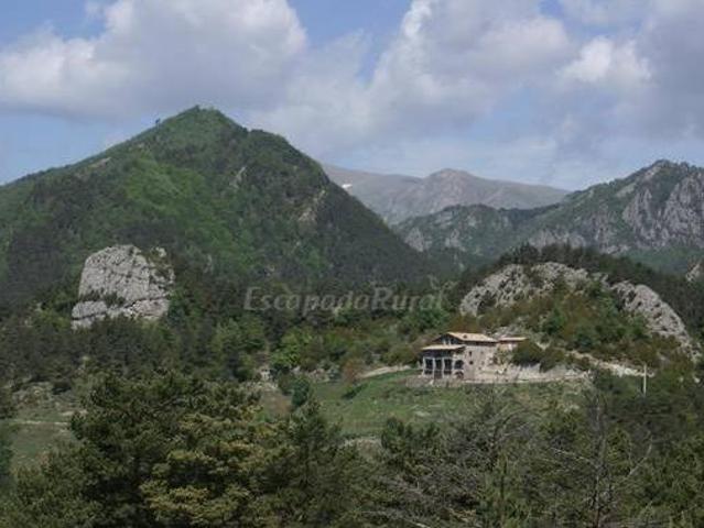 Mas Merolla