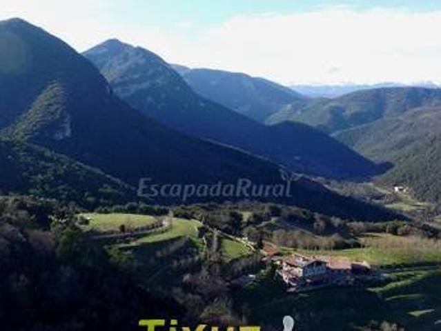 Mas Pineda