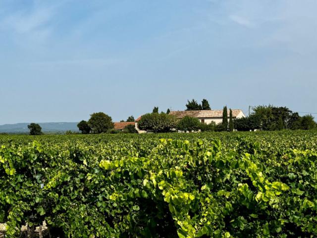 Mas Provençal à rénover sur 11 ha Drôme Provençale