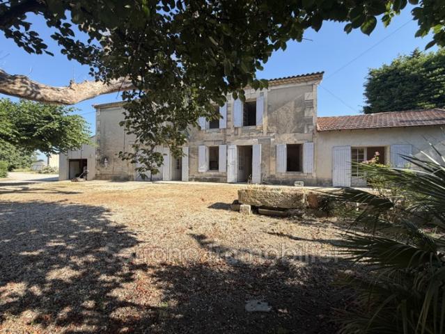 Mas Provençal campagne