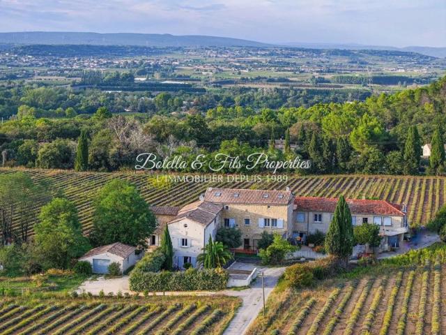 Mas provençal et lavandes
