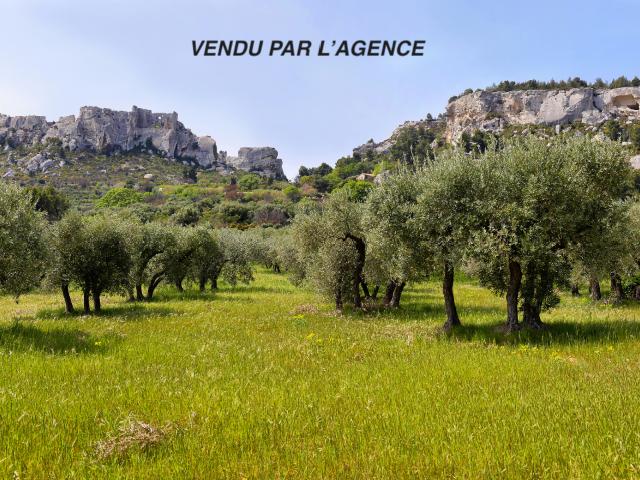 MAS PROVENCAL SAINT REMY DE PROVENCE