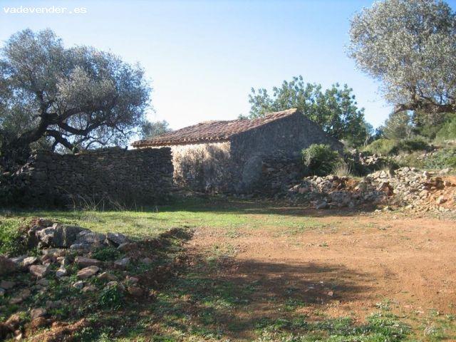 MASIA DE PIEDRA PARA REFORMAR EN UNA FINCA DE DOS HECTAREAS DE TERRENO