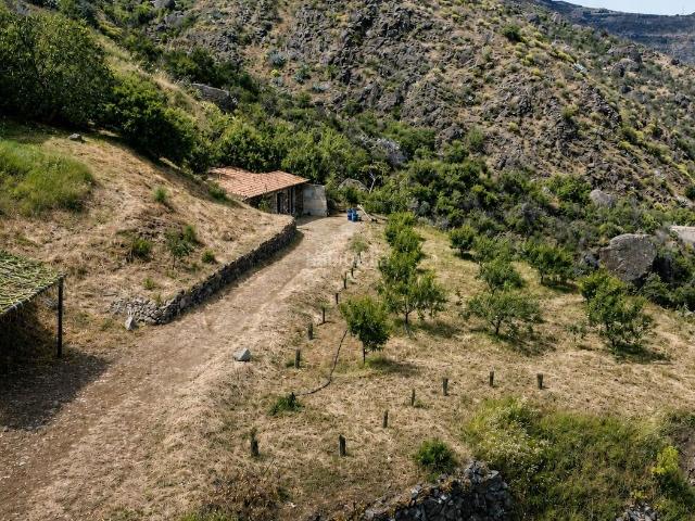 Masía en venta en Tejeda. Masías.