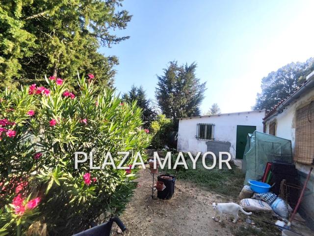 Masía en venta en Terradillos. 4509 PARCELA CON CASA, JUNTO TERRADILLOS. Masías.