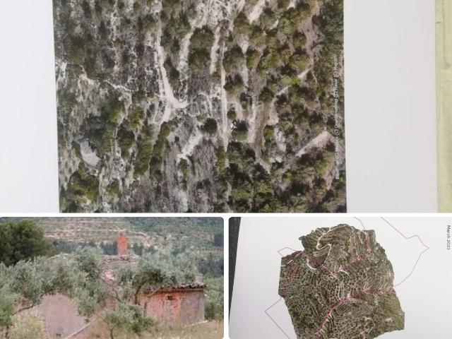 Masía en venta en Torre de l´Espanyol La Costa Dorada. ¡Tu Refugio para disfrutar en la Naturaleza!. Masías Torre de l´Espanyol.