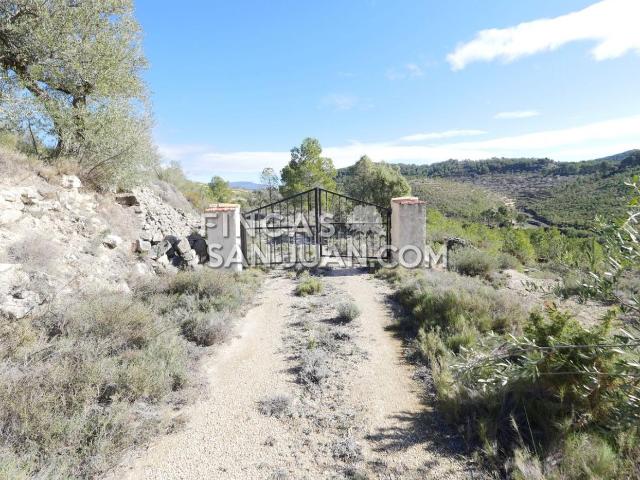 Masía en venta en Torre de les Maçanes la. Finca Rúst. en venta en Torremanzanas, 2 dormitorios. Masías Torre de les Maçanes.