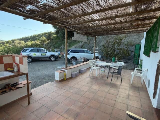 Masía en venta en Torrox, Torrox Pueblo. Finca rústica con vivienda y 500 aguacates en plena producción Naturaleza y rentabilidad. Masías.