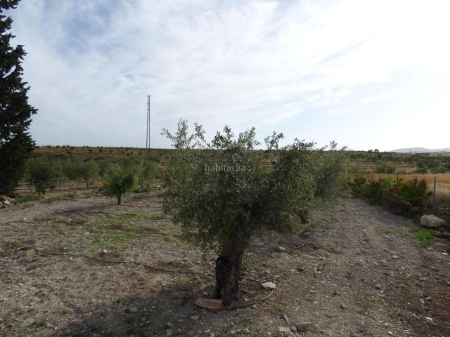 Masía en venta en Uleila del Campo. Masías Uleila del.