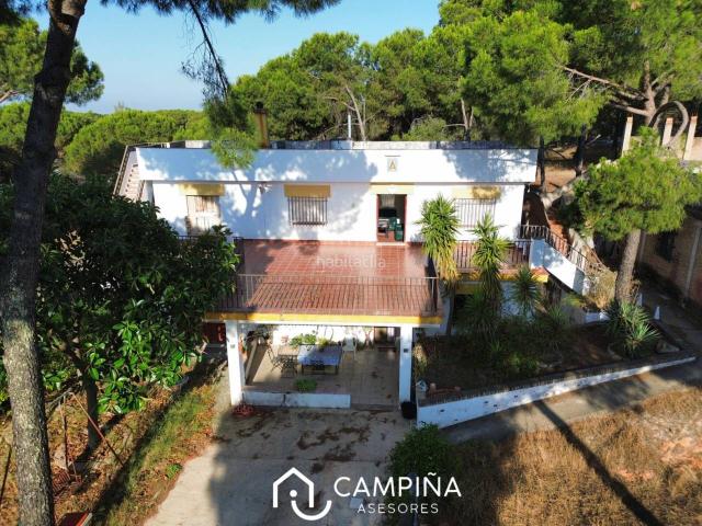 Masía en venta en Valverde del Camino. Casa de campo en Los Pinos en Valverde del Camino. Masías Valverde del.