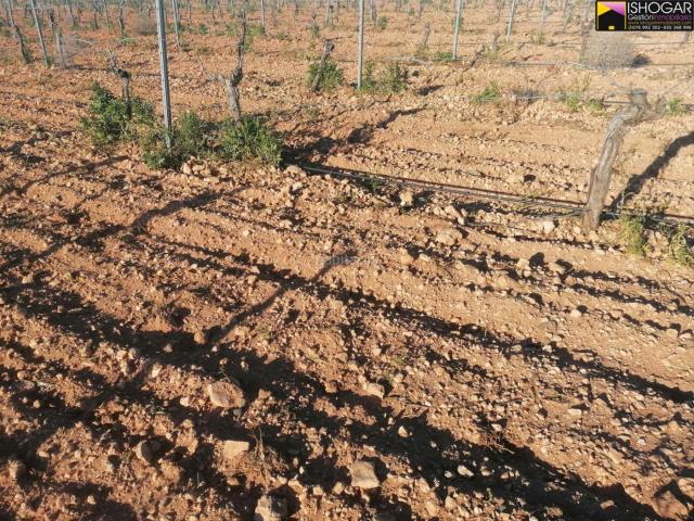 Masía en venta en Valdepeñas. Finca en venta en Carretera Daimiel, 3 dormitorios. Masías.