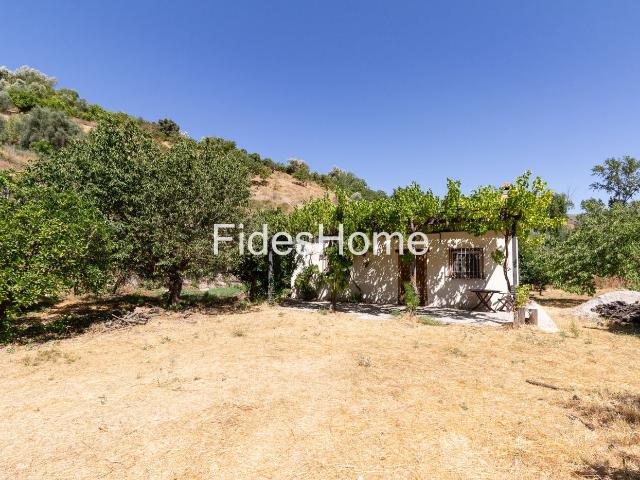 Masía en venta en Valle El. Encantador cortijo rústico con amplia finca, salares y árboles frutales. Masías Valle.