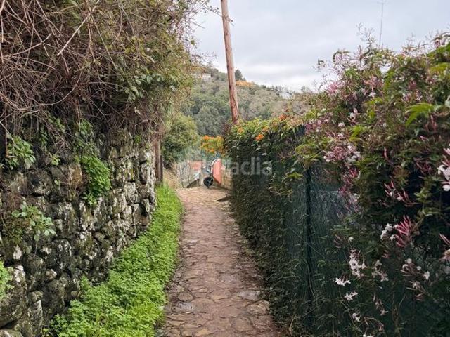 Masía en venta en Valleseco. Finca rústica en venta en Calle el Tabuco s n, Valleseco. Masías.