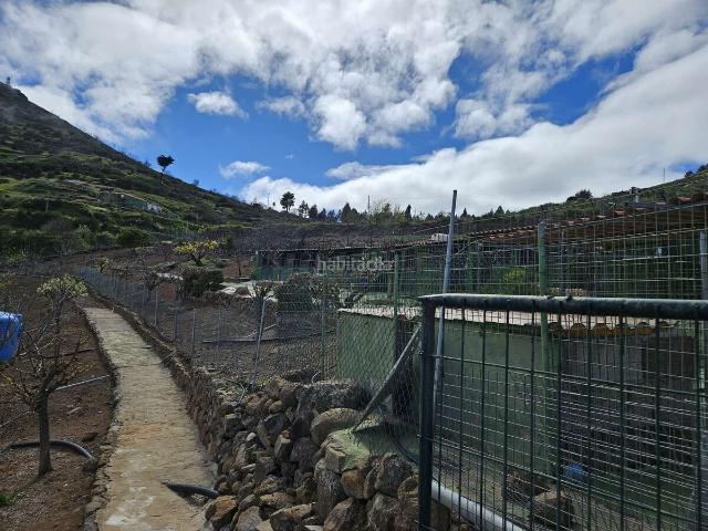 Masía en venta en Vega de San Mateo. Casa o chalet en venta con finca, Vega de San Mateo. Masías Vega de San.