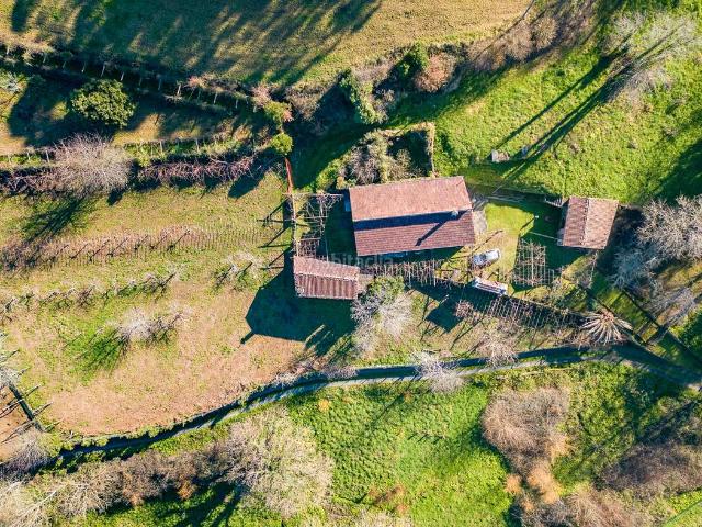 Masía en venta en Vila de Cruces. Casa cerca de Vila de Cruces con viñedos y frutales. Masías Vila de.