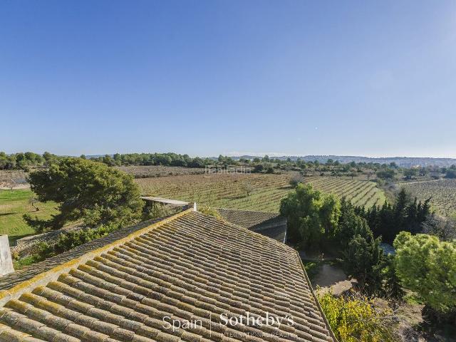 Masía en venta en Vilanova i la Geltrú, Masia Nova Solicrup Costa Dorada. Casa de campo con viñedos y 3,13 hectáreas en Vilanova i la Geltrú. Masías Vilanova i la.