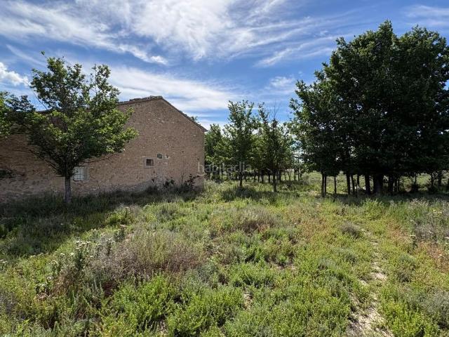 Masía en venta en Villena, Las Tiesas. Tierra rustica con casa en Partida la Lagunilla Villena. Masías.