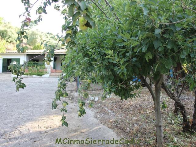 Masía en venta en Zahara. Casa de Campo en venta en Arroyomolinos, 4 dormitorios. Masías.