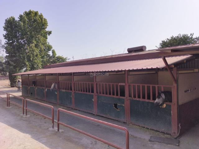 Masía en venta en Zubia La, La Zubia Ciudad. Exclusiva finca ecuestre con gran potencial para eventos junto al Centro Comercial Alhsur La Zubia Granada. Masías Zubia.