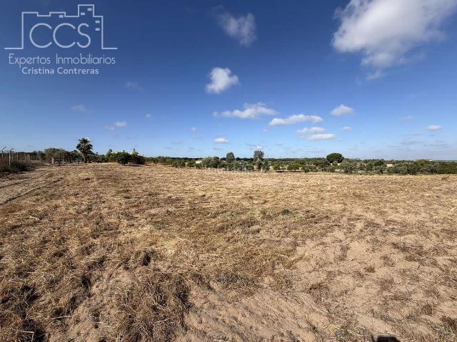 Masía en venta en Almonte, Almonte. Venta de finca en PROPIEDAD de 15.907 m2 de terreno con casa de aperos y pozo en Almonte. Masías.
