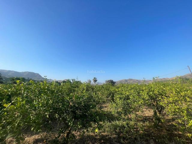 Masía en venta en Álora. Exclusiva finca con huerta de limoneros y licencia turística en Álora. Masías.