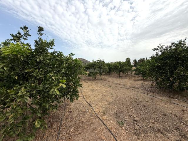 Masía en venta en Álora. Masías.