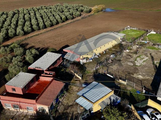Masía en venta en Alcalá de Guadaira, Centro. FINCA EN ALCALA DE GUADAIRA. Masías Alcalá de.