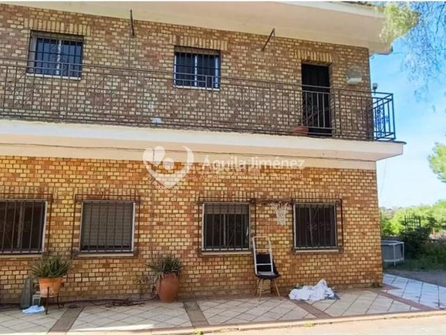 Masía en venta en Alcalá de Guadaira, Los Molinos. Venta de villa rústica en Los Molinos, con un olivar de 11.776 m2 Fotos mejoradas con IA. Masías Alcalá de.
