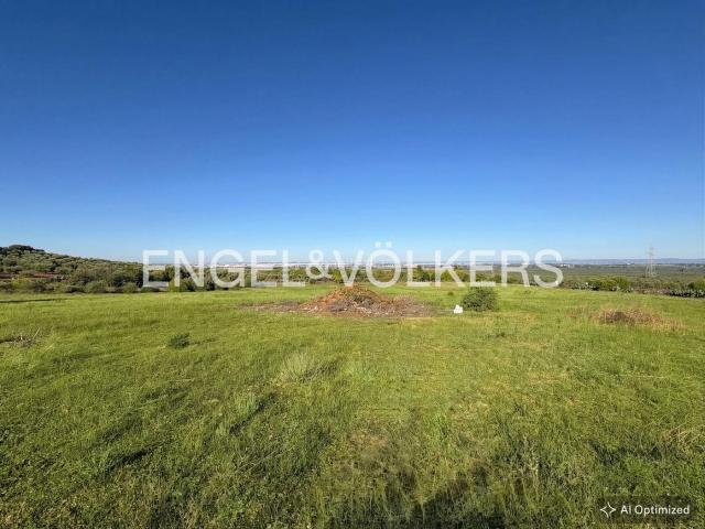 Masía en venta en Alcalá de Guadaira, La Paz. Inversión rural con negocio en marcha a pocos minutos de Sevilla. Masías Alcalá de.