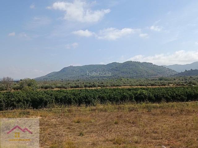 Masía en venta en Alcalà de Xivert. FINCA RUSTICA REFORMADA 100. Masías Alcalà de.