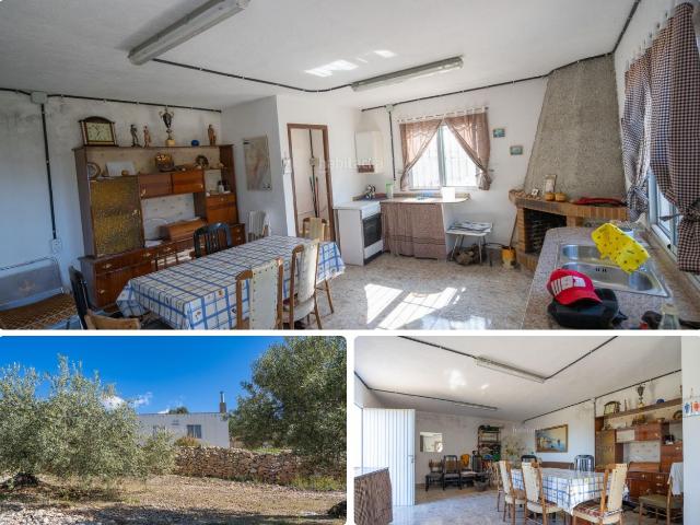Masía en venta en Alcanar Costa Dorada. Finca Rúst. en venta en Alcanar, 1 dormitorio. Masías.