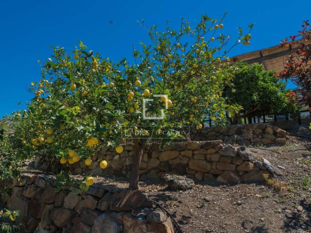 Masía en venta en Alcaucín. Casa rural de 6 dormitorios en venta en Alcaucín. Masías.