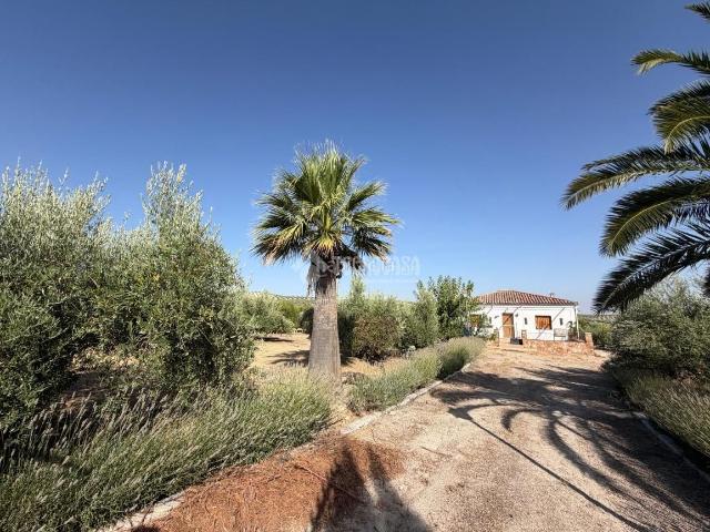 Masía en venta en Alcaudete. Casa rural en venta en Martos. Masías.