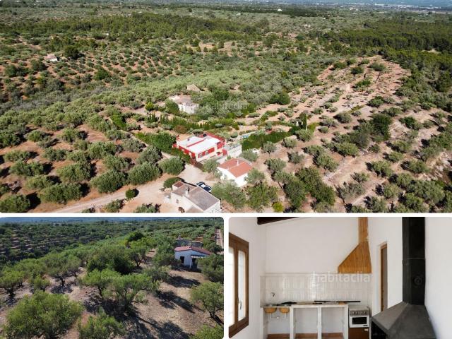 Masía en venta en Aldea L´ Costa Dorada. Finca rústica con vistas al mar y al Delta del Ebro, a solo 11 km de las playas de lAmpolla. Masías Aldea.