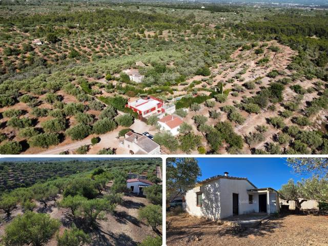 Masía en venta en Ampolla L´ Costa Dorada. Finca rústica con vistas al mar y al Delta del Ebro, a solo 11 km de las playas de lAmpolla. Masías Ampolla.