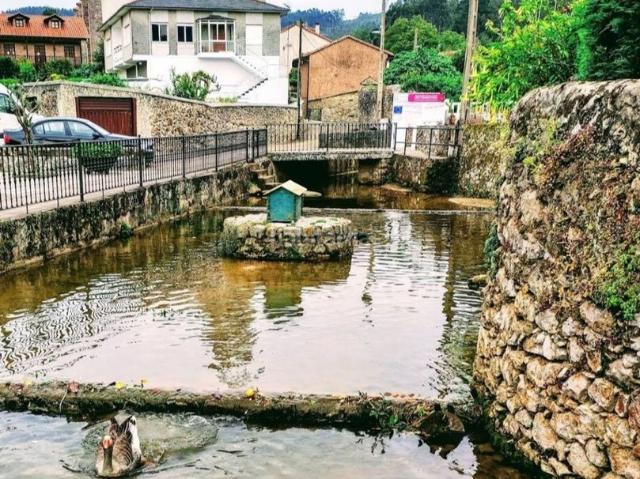Masía en venta en Alfoz de Lloredo. Masías Alfoz de.