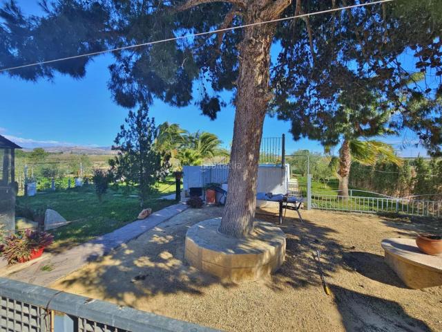 Masía en venta en Alicante, Cañada del Fenollar. Finca rústica con chalet legalizado y amplio terreno en Alicante con huerto privado de olivos y frutales. Masías.