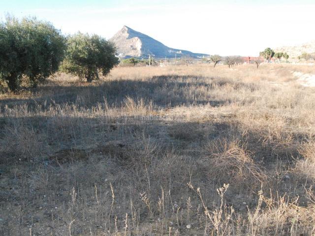 Masía en venta en Alicante, Cañada del Fenollar. OPORTUNIDAD FINCA MUY INTERESANTE¡. Masías.