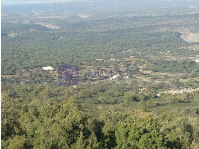 Masía en venta en Aliseda. VENTA CASA DE CAMPO EN ZONA DE ALISEDA. Masías.