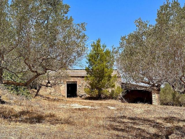 Masía en venta en Ametlla de Mar, l´, de 75 m² por 165.000