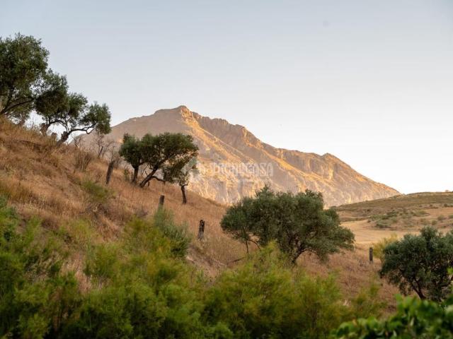 Masía en venta en Antequera, Centro. Casa rural en venta en Antequera. Masías.