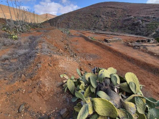 Masía en venta en Antigua, Agua de Bueyes. JOYA HISTÓRICA EN FUERTEVENTURA FINCA DE 30.398 m² CON DOS CASAS MAJORERAS DE PIEDRA. Masías.
