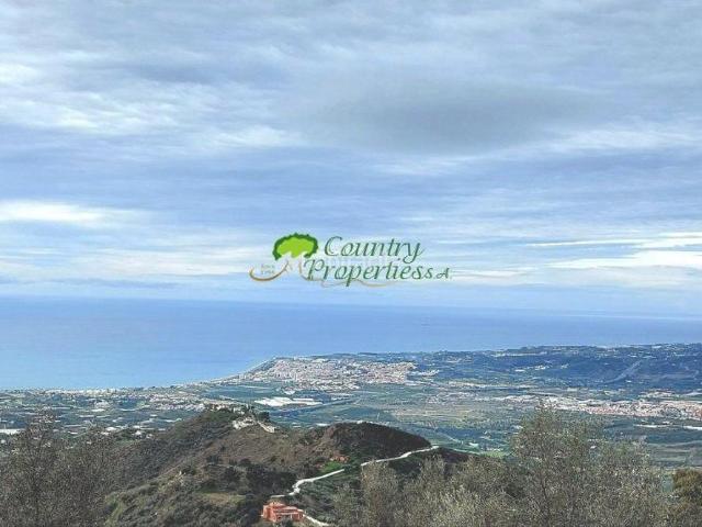 Masía en venta en Arenas. Casa de Campo en venta en Arenas, 5 dormitorios. Masías.
