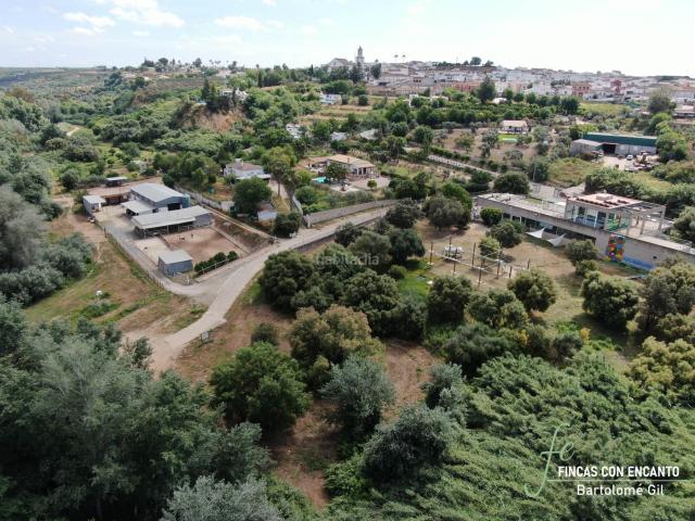 Masía en venta en Aznalcázar. Centro hípico en el corredor verde del Guadiamar. Masías.