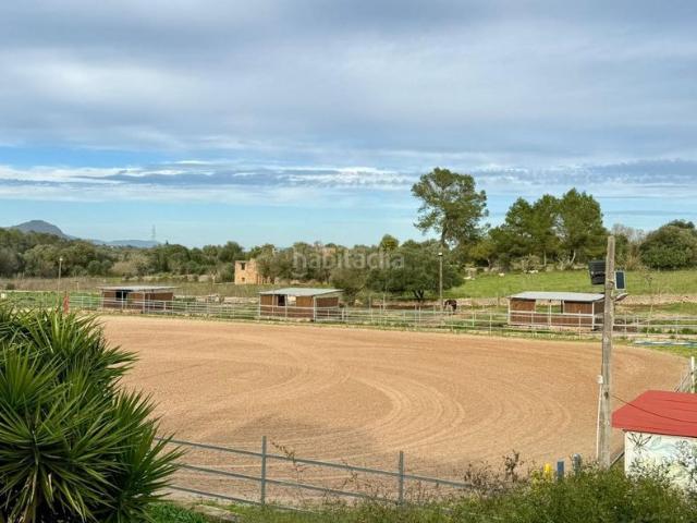 Masía en venta en Baleares Costitx. FINCA PARA CABALLOS EN COSTITX. Masías.