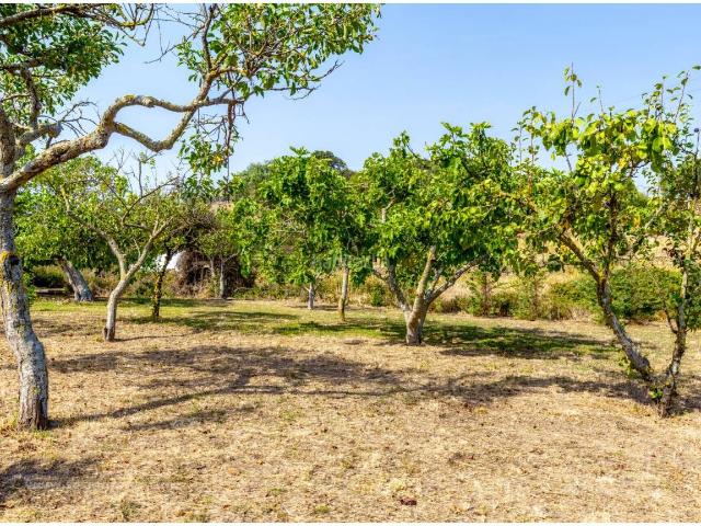 Masía en venta en Baleares Es Migjorn Gran, Es Migjorn Gran Poble. casa de campo a las afueras de Es Mercadal. Masías Es Migjorn.