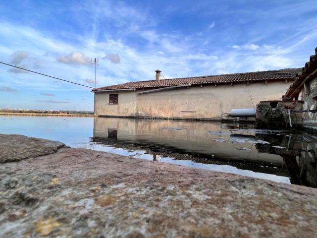 Masía en venta en Baleares Llubí. Finca en Llubi. Masías.