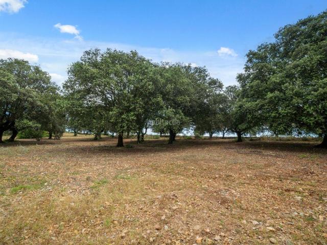 Masía en venta en Baleares Maria de la Salut. Gran Finca ecológica en Manacor con casa de 400 m2. Masías Maria de la.