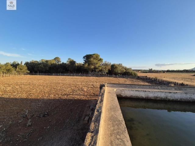 Masía en venta en Baleares Muro. FINCA EDIFICABLE EN MURO CON AGUA. Masías.